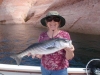 March 31, 2013 - Lake Powell March 31, 2013 - Lake Powell