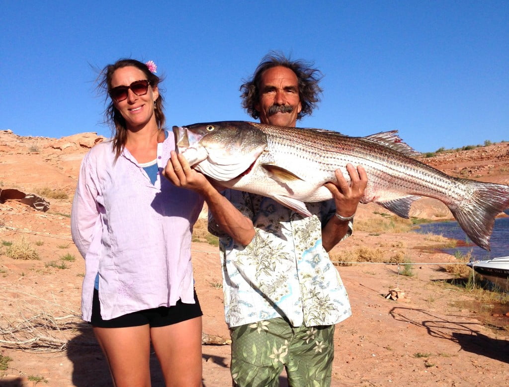 Lake Powell Fishing Report by Wayne Gustaveson 61714 Ambassador