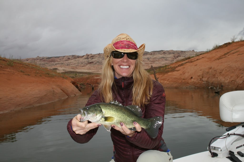 Lake Powell Fishing Report by Wayne Gusatveson Ambassador Guides at