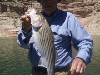 Image is of an angler holding his freshly caught fish while on a fishing trip at the lake.
