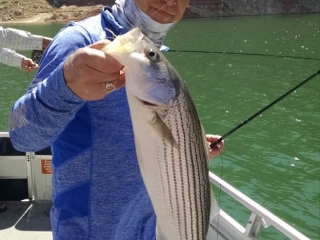 Image is of an angler holding his freshly caught fish while on a sunny fishing trip on the lake.