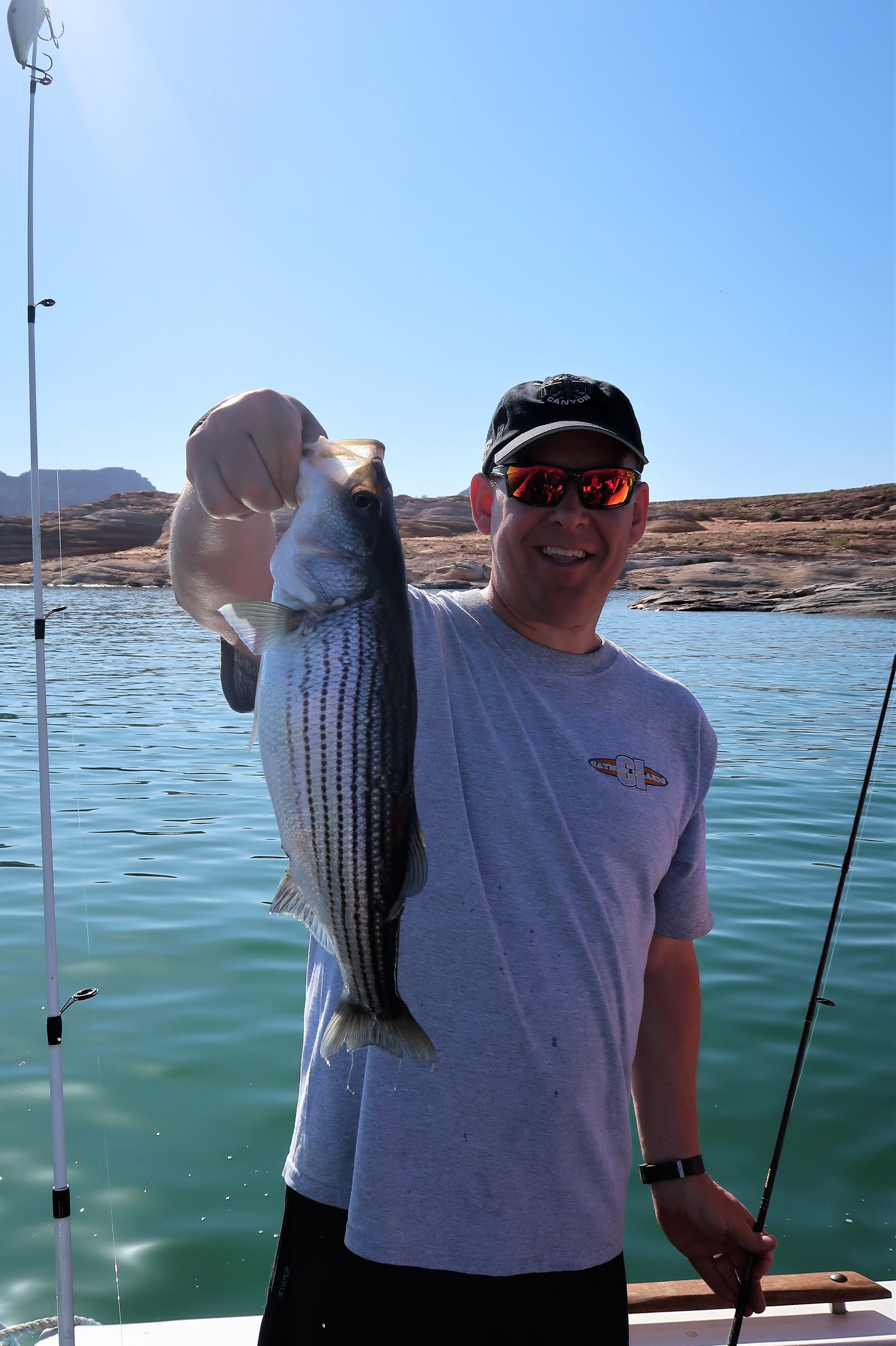 lake powell fishing tours