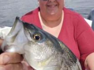 Woman from Texas shows a striped bass that she caught. Taken on Lake Powell, Arizona, with guide Captain Bill McBurney.