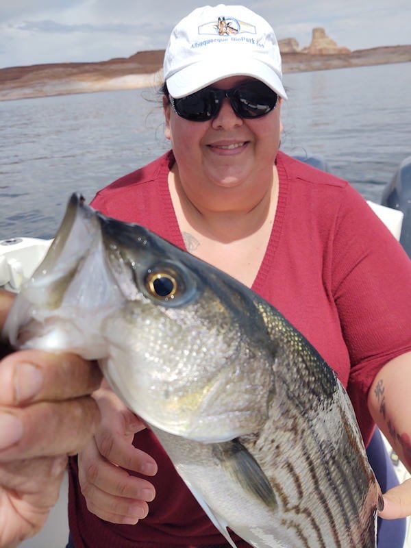 Woman from Texas shows a striped bass that she caught. Taken on Lake Powell, Arizona, with guide Captain Bill McBurney.