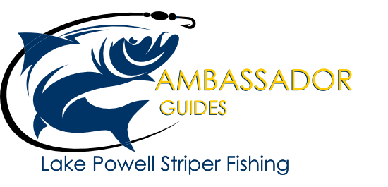 Guided Fishing Tours at Lake Powell