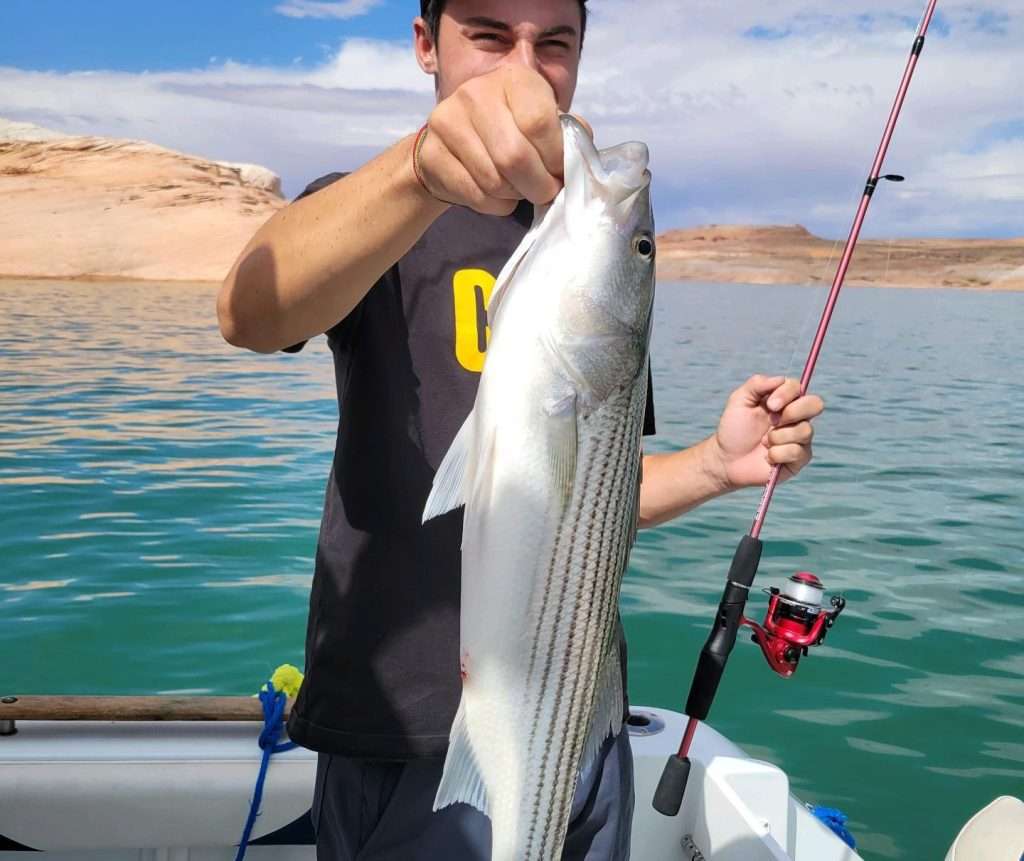 It’s “Fish On” with Ambasador Guides Lake Powell, AZ.  Give us a call for a trip fishing with Capt. Bill serving the area since 1979.
