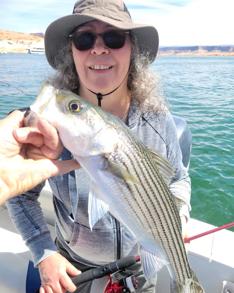 Another Great Day Fishing Lake Powell with Ambassador Guides & Outfitters
Get your “fish on” call 928-606-5829