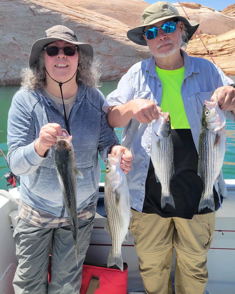 Another Great Day Fishing Lake Powell with Ambassador Guides & Outfitters
Get your “fish on” call 928-606-5829
