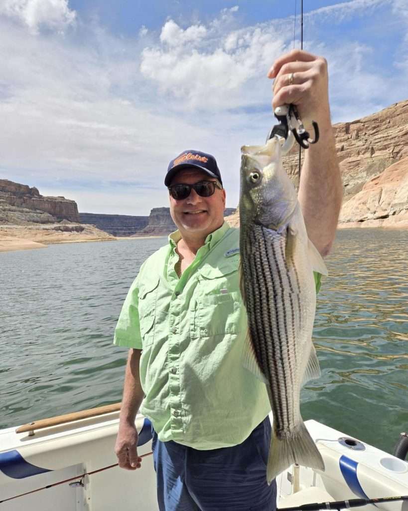 Caught some Smallmouth Stripers, and the bonus fish for dinner a Walleye.- Fish on with Ambassador Guides##stripers #lakepowell #azfishing