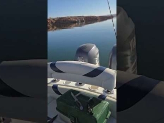 Have a unique and exciting experience fly fishing on Lake Powell this winter season. 