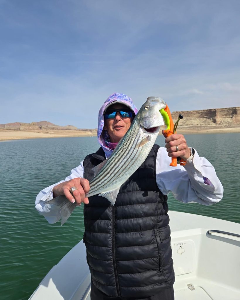 Spring Fishing at Lake Powell with Ambassador Guides has definitely turned on.  Get you trip locked in today.  Call 928-606-5829 .  #lakepowellfishing #striperfishing #lakepowell #bassfishing
