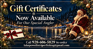 Realistic image of Santa fishing at a lake, with a Gift box placed in the forgrtgound, and the text Gift Certificates now available.